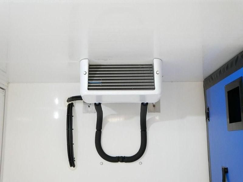 Used Renault Trafic 150 HP (110 kW) 2024 White MPV