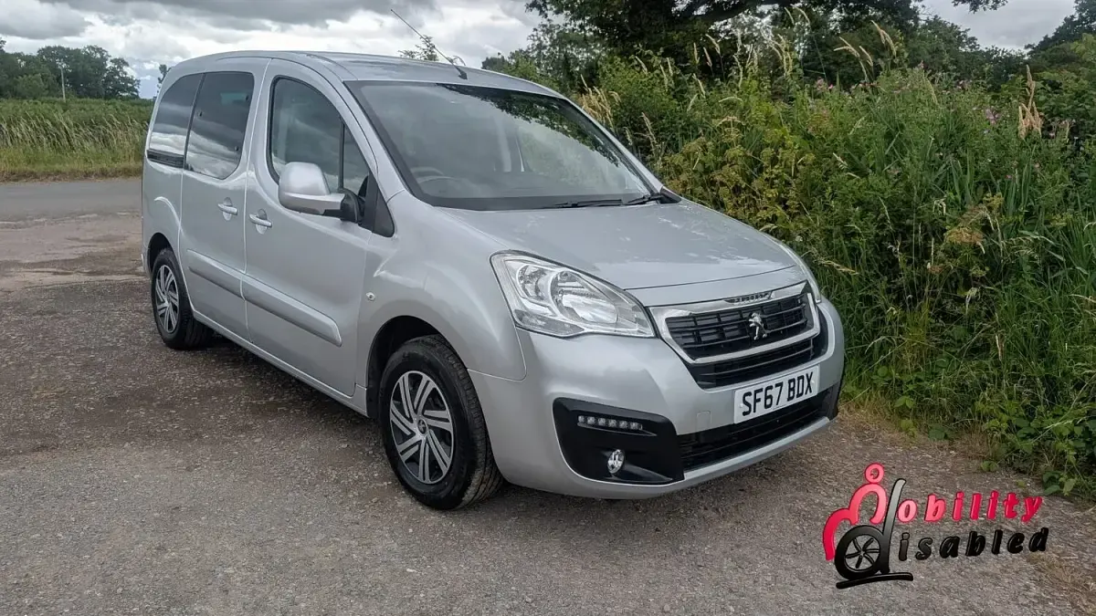 Used Peugeot TePee Access 2017 Silver MPV