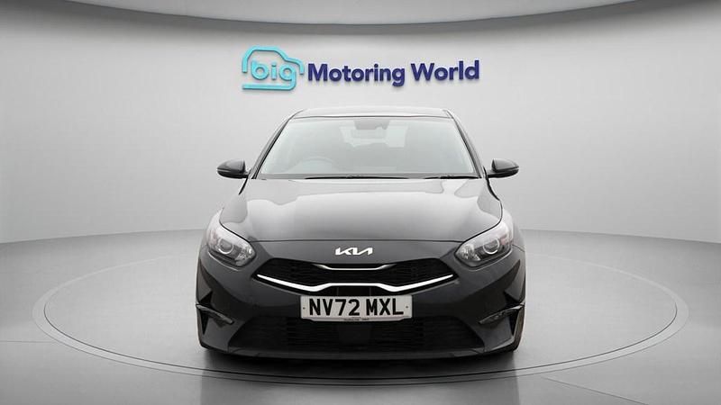 Used Kia Ceed 158 HP (116 kW) 2023 Grey Hatchback