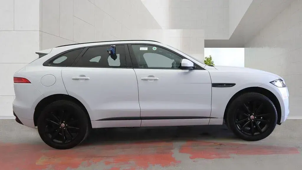 Used Jaguar F-Pace Chequered Flag 2019 White SUV