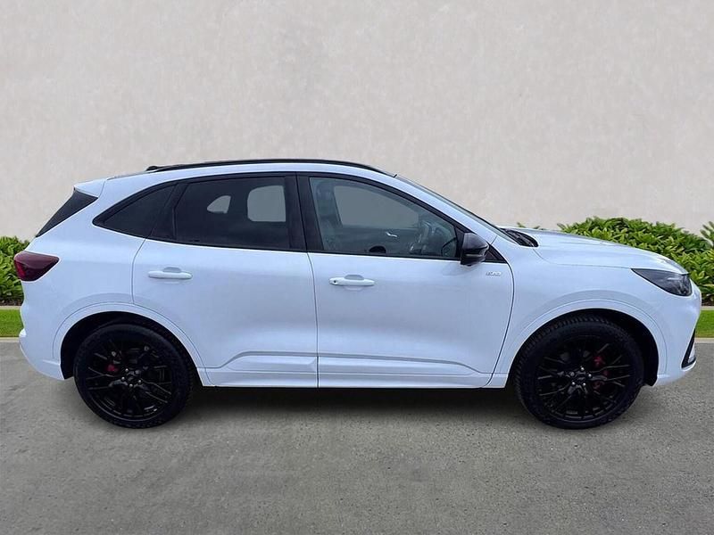 Used Ford Kuga ST-Line X 2025 White SUV