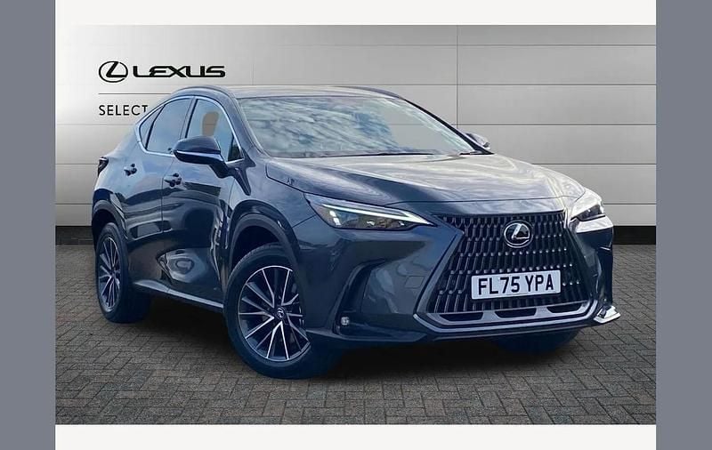Used Lexus NX350h 243 HP (178 kW) 2025 Grey SUV