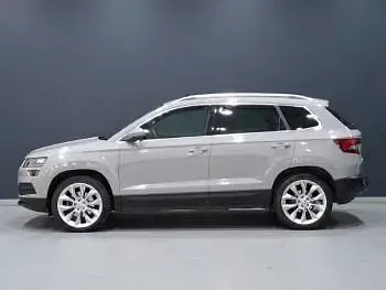 Used Skoda Karoq 150 HP (110 kW) 2019 Grey SUV