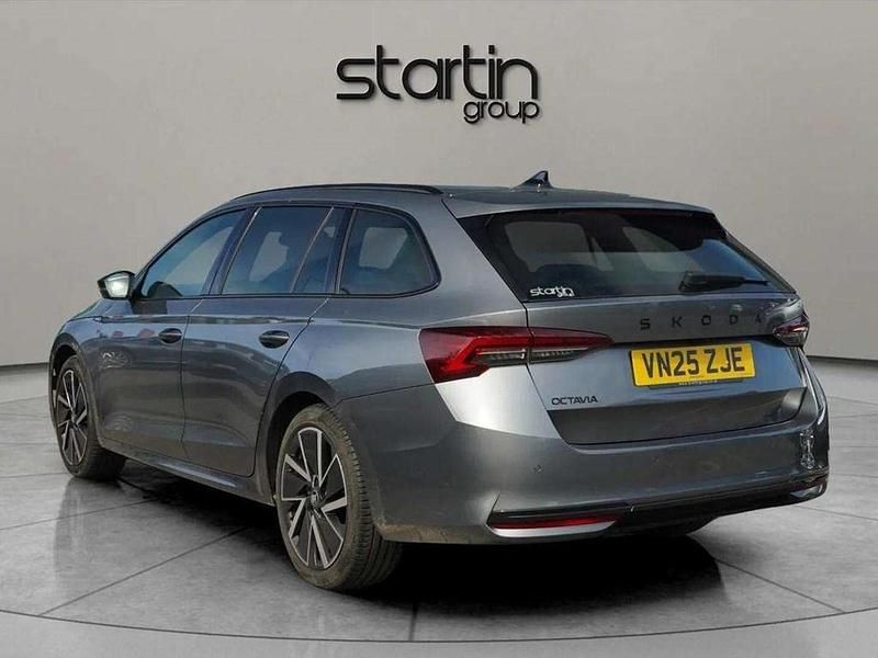 Used Skoda Octavia SportLine 150 HP (110 kW) 2025 Grey Estate