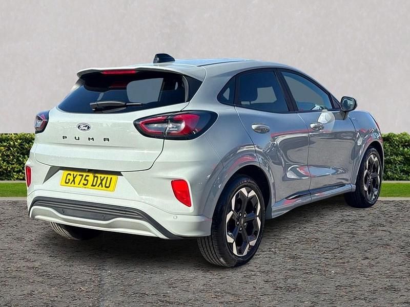 Used Ford Puma ST-Line X 125 HP (91 kW) 2025 Cactus grey SUV
