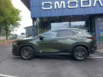Used Lexus NX350h 242 HP (177 kW) 2024 Green SUV