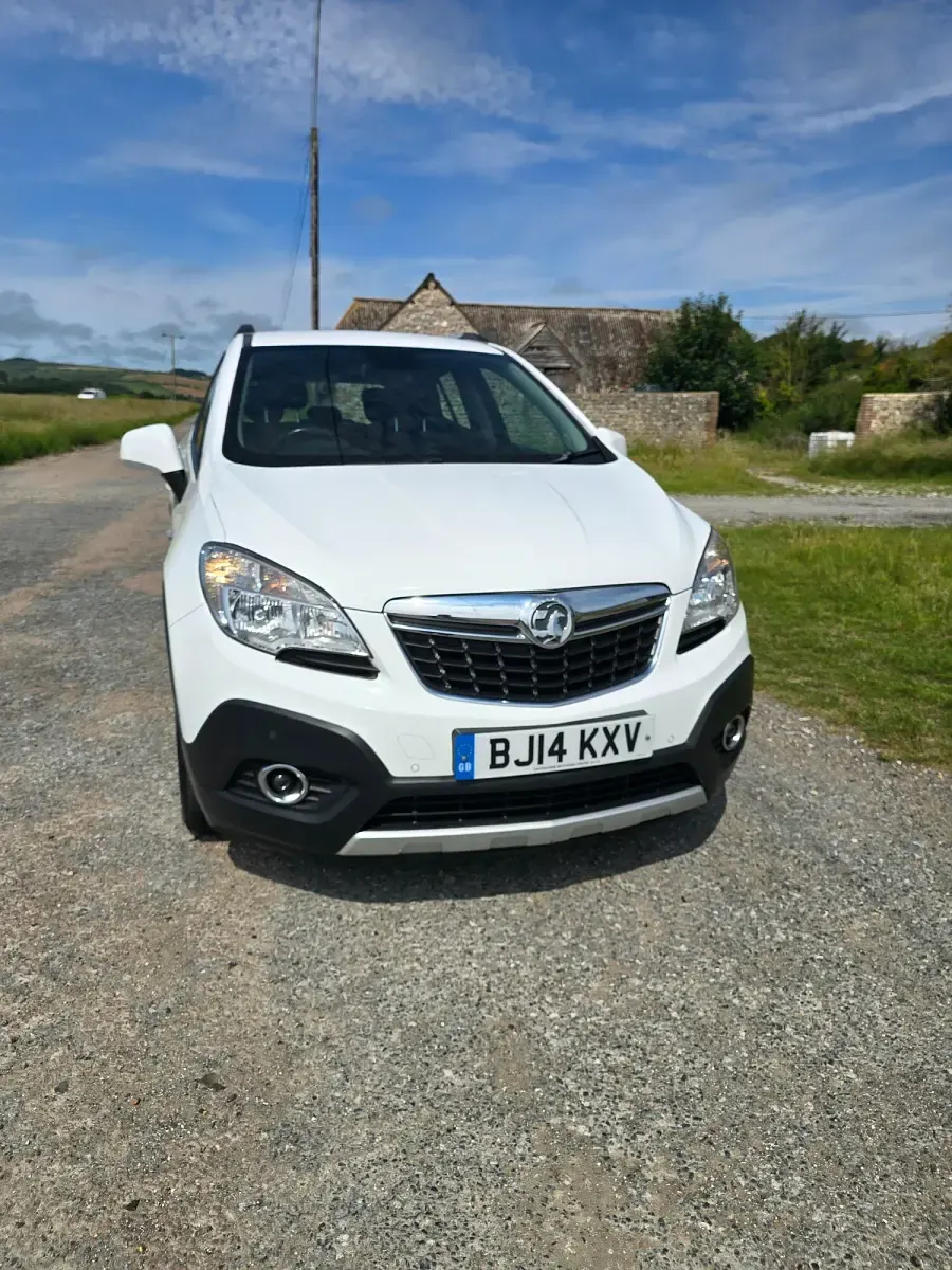 Used Vauxhall Mokka 115 HP (84 kW) 2014 White SUV
