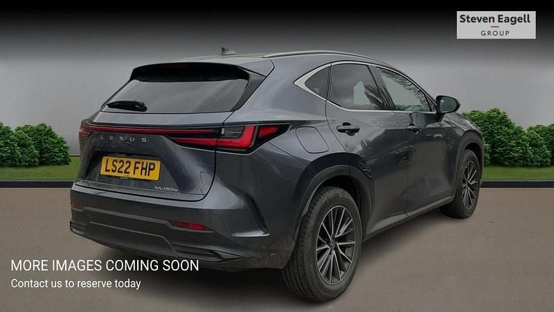 Used Lexus NX450h+ 2022 Grey SUV