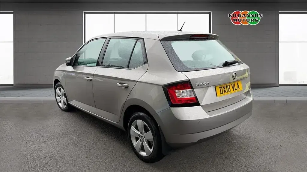 Used Skoda Fabia SE 110 HP (80 kW) 2018 Beige Hatchback