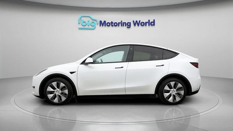 Used Tesla Model Y RWD 219 kW (299 HP) 2023 White SUV