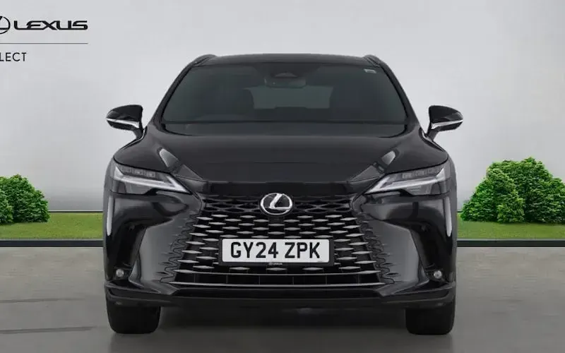 Used Lexus RX350h 250 HP (183 kW) 2024 Estate
