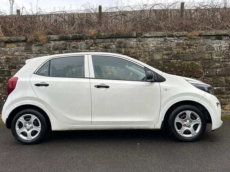 Used Kia Picanto 66 HP (48 kW) 2018 White Hatchback