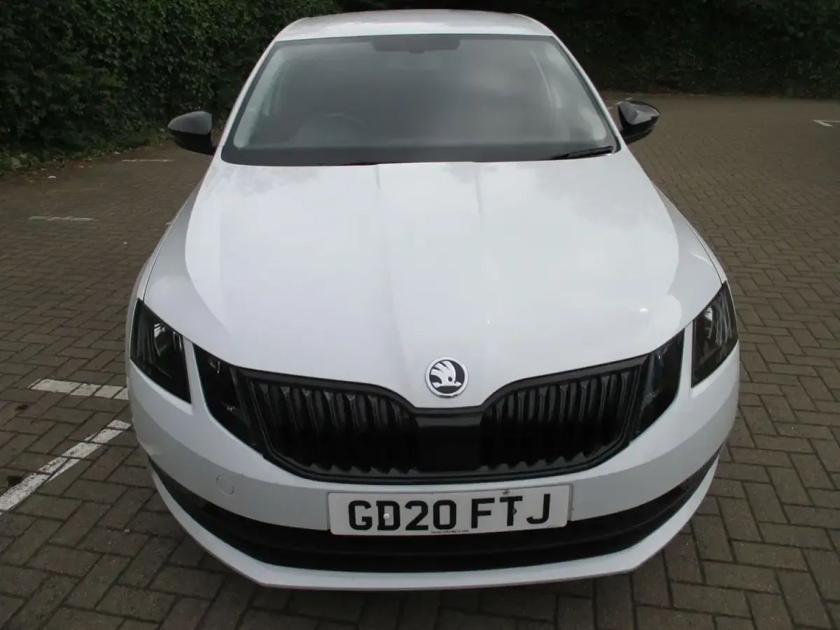 Used Skoda Octavia SE Drive 150 HP (110 kW) 2020 White Hatchback