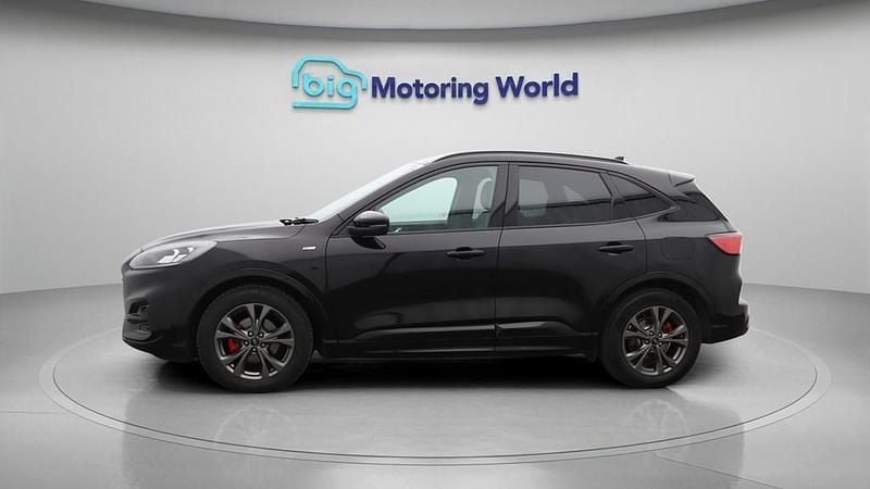 Used Ford Kuga ST-Line 150 HP (110 kW) 2022 Black SUV