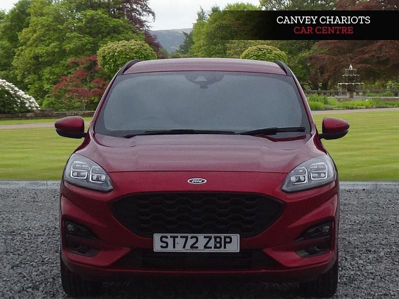 Używany Ford Kuga ST-Line 150 KM (110 kW) 2023 Czerwony SUV