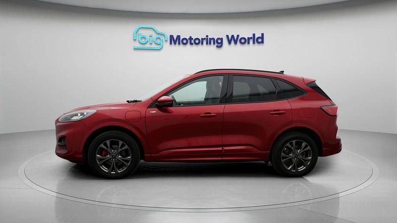 Used Ford Kuga ST-Line 222 HP (163 kW) 2023 Red SUV