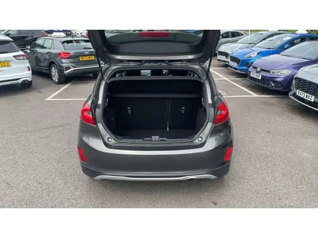 Used Ford Fiesta Active 101 HP (74 kW) 2019 Grey Hatchback