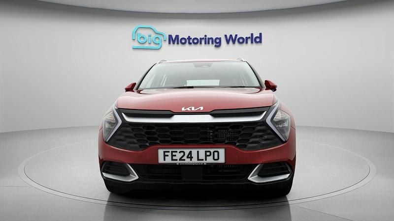 Used Kia Sportage 148 HP (108 kW) 2024 SUV