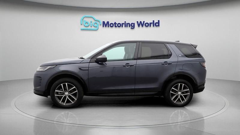 Used Land Rover Discovery Sport SE Dynamic 309 HP (227 kW) 2024 Blue SUV