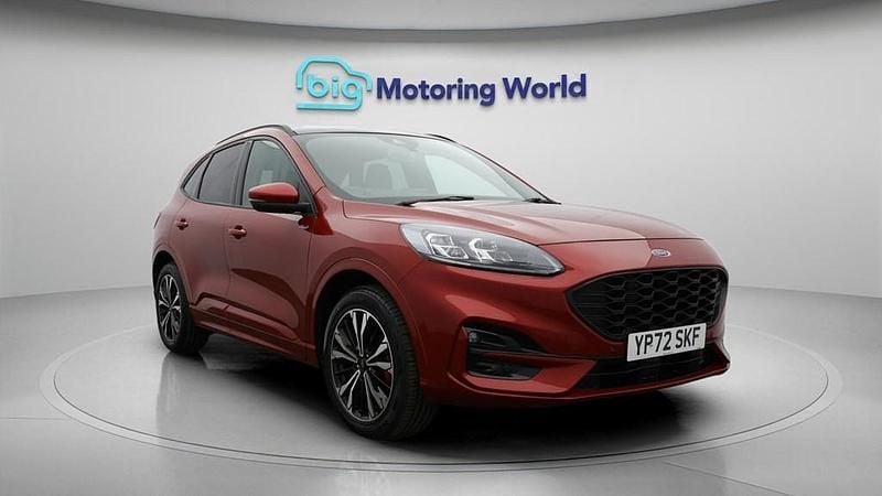 Used Ford Kuga ST-Line X 225 HP (165 kW) 2022 Red SUV