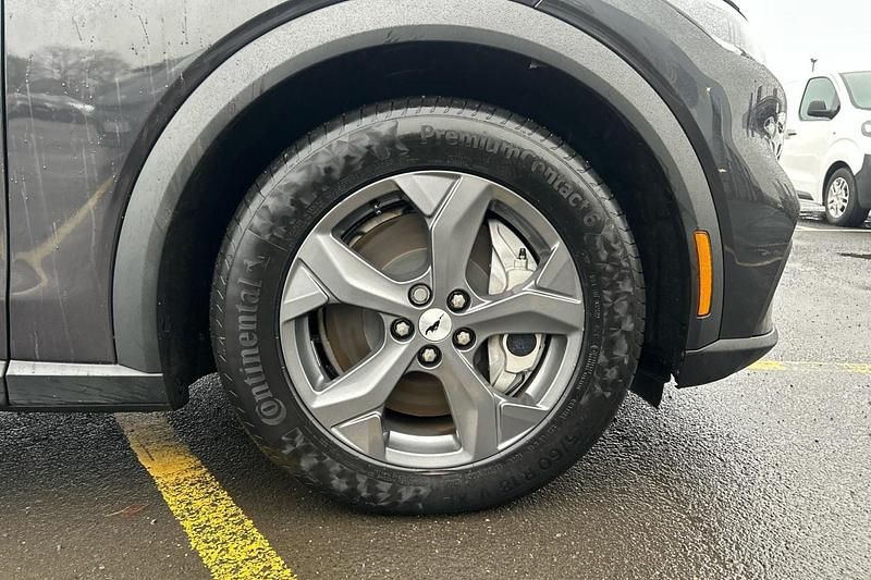 Used Ford Mustang Extended Range 294 HP (216 kW) 2023 Grey SUV