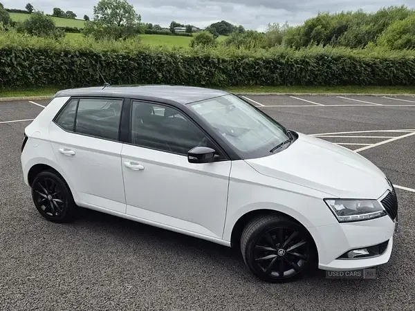 Used Skoda Fabia Colour Edition 60 HP (44 kW) 2020 White Hatchback