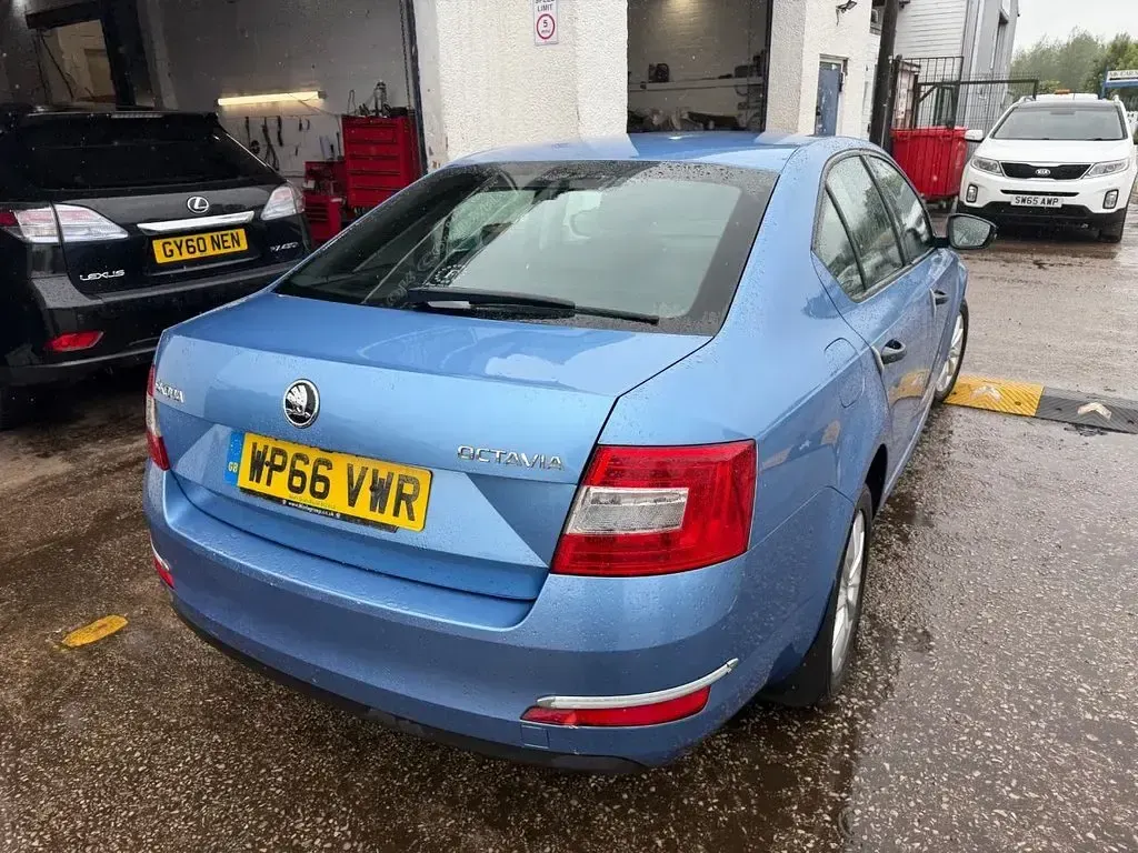 Used Skoda Octavia 110 HP (80 kW) 2016 Blue Estate