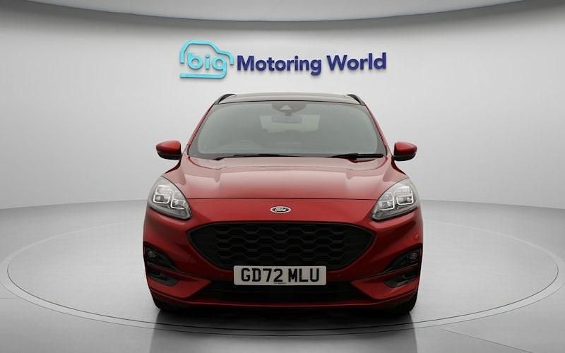 Used Ford Kuga ST-Line X 190 HP (139 kW) 2023 SUV