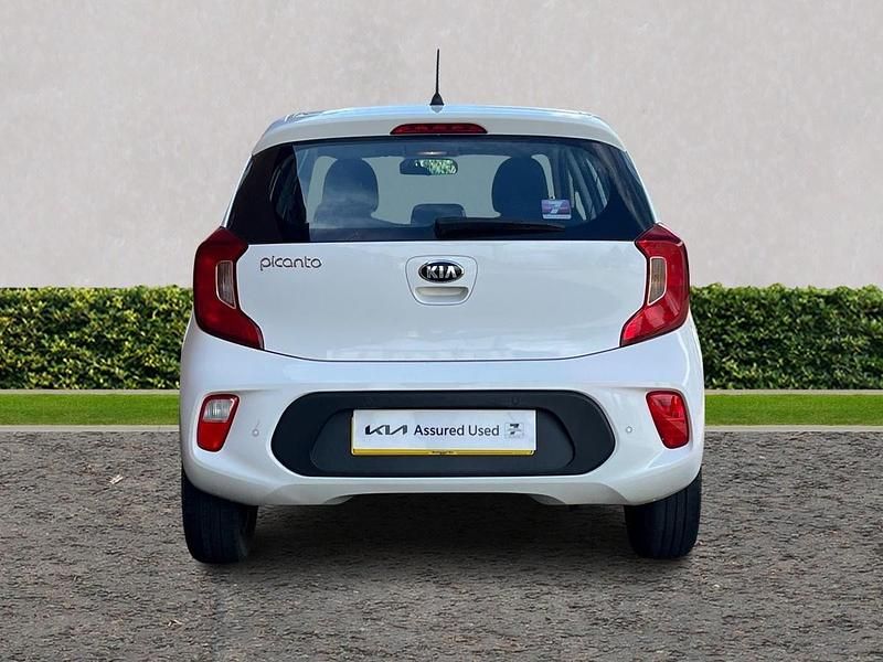 Used Kia Picanto 2019 White Hatchback