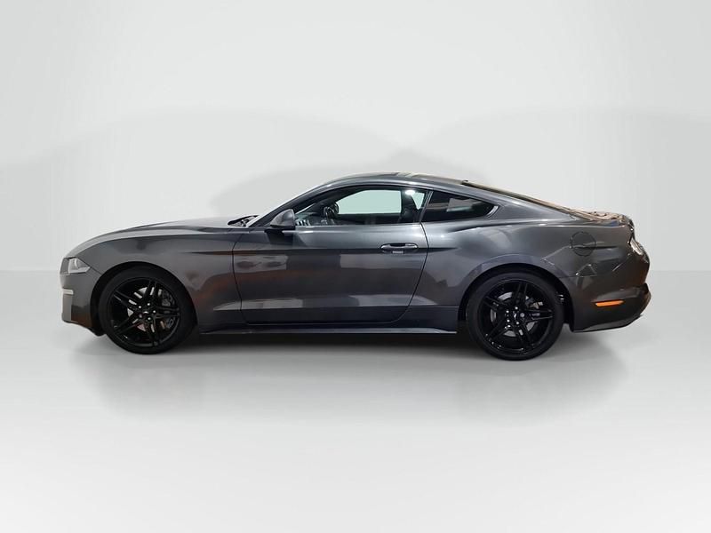 Used Ford Mustang Fastback 290 HP (213 kW) 2019 Grey Coupe