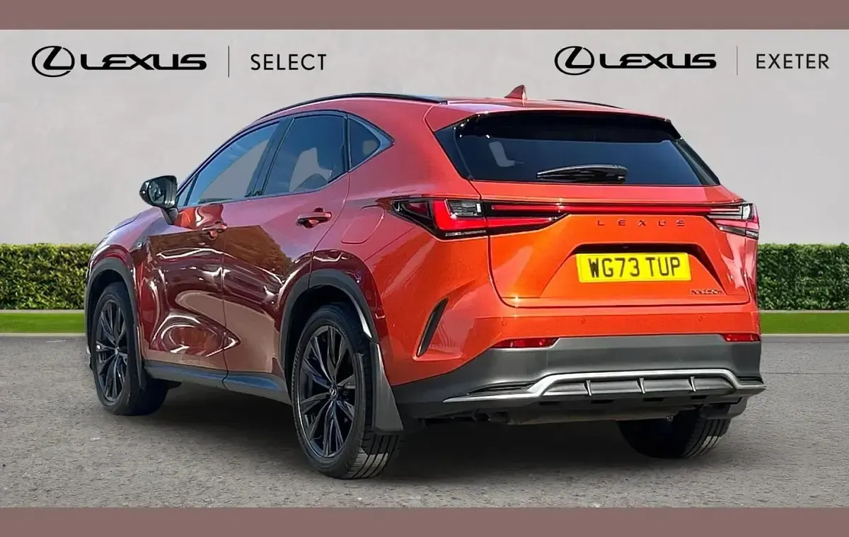 Used Lexus NX350h Sport Line 239 HP (175 kW) 2023 Orange SUV