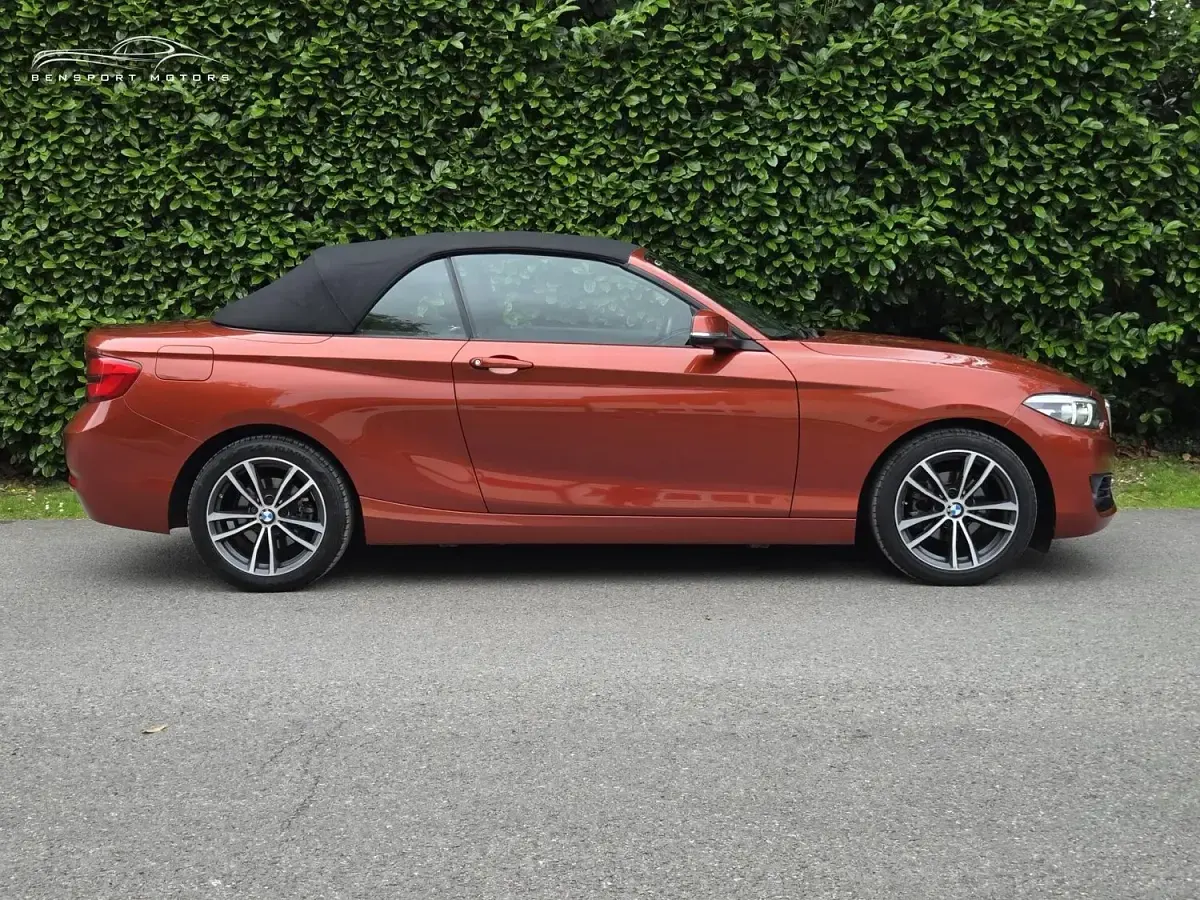 Used BMW 218 Sport Line 2018 Orange Cabriolet