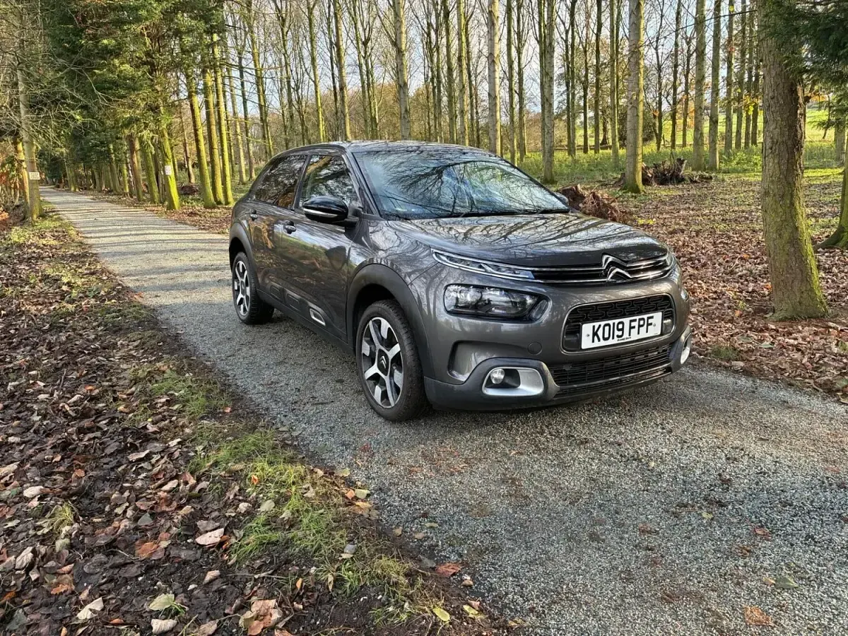 Used Citroën C4 Cactus Flair 130 HP (95 kW) 2019 Grey Hatchback