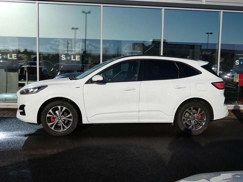 Used Ford Kuga ST-Line 147 HP (108 kW) 2020 White SUV