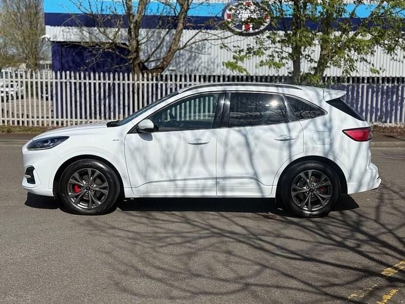 Used Ford Kuga ST-Line 120 HP (88 kW) 2020 White SUV