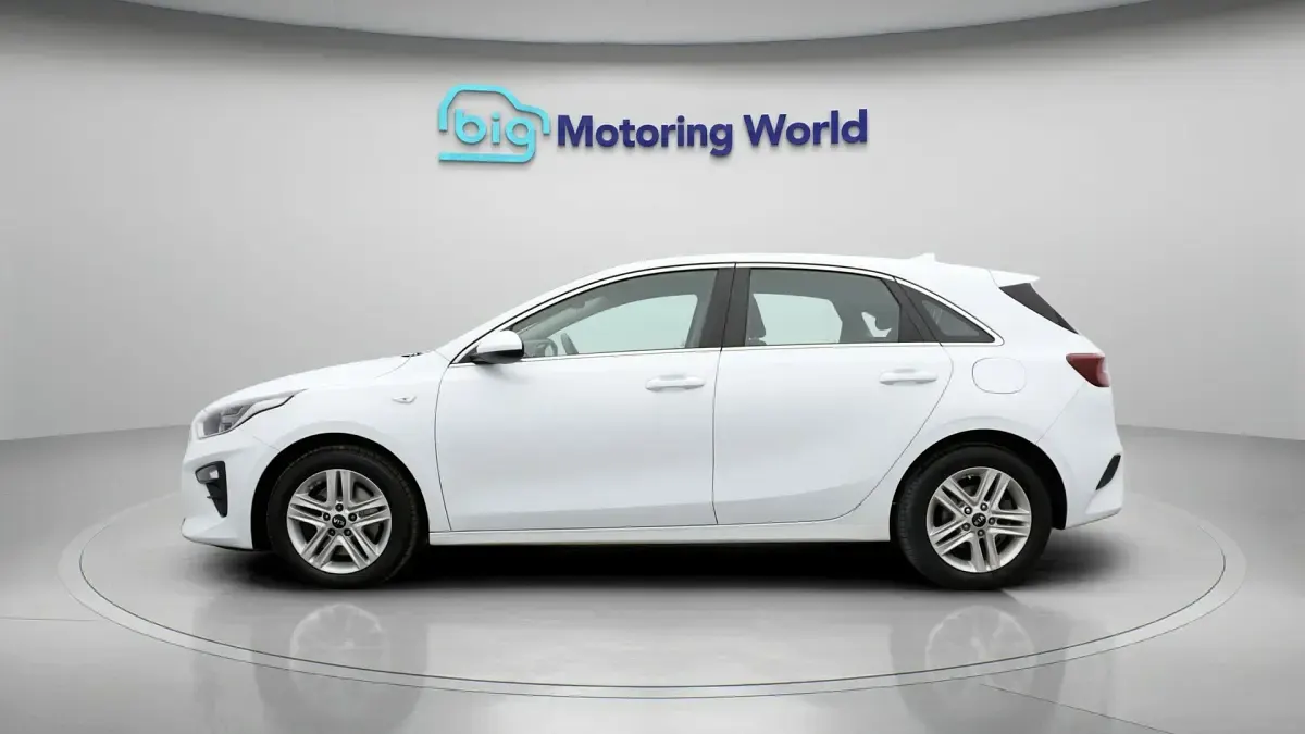 Used Kia Ceed 118 HP (86 kW) 2019 White Hatchback
