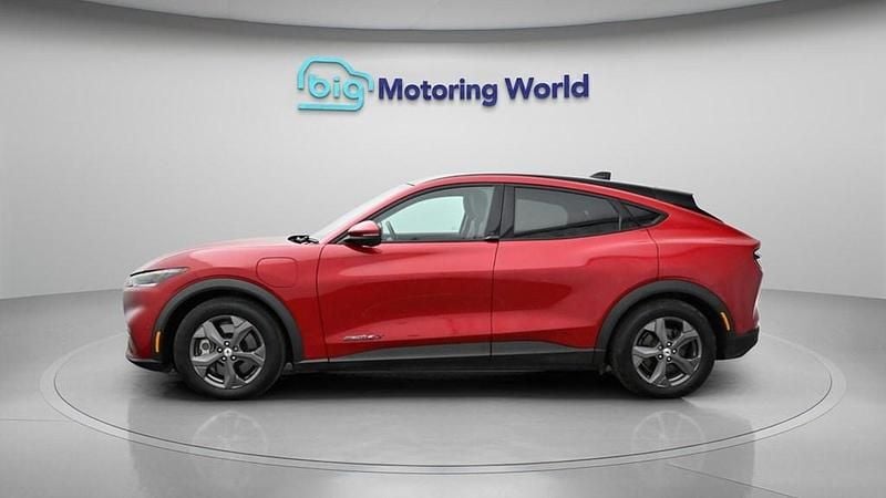Used Ford Mustang Mach-E Extended Range 216 kW (294 HP) 2023 SUV
