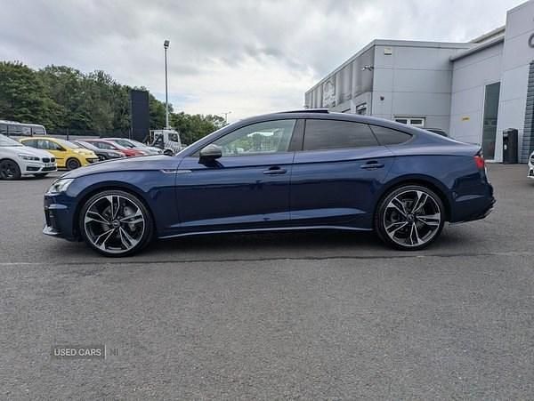 Used Audi A5 Advanced 190 HP (139 kW) 2021 Blue Coupe