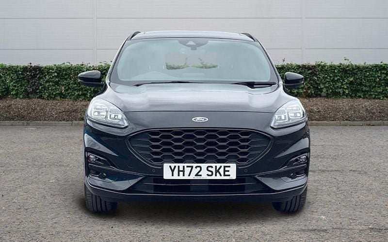 Used Ford Kuga ST-Line X 190 HP (139 kW) 2023 Black SUV