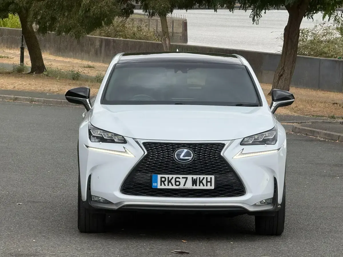 Used Lexus NX300h Sport Line 197 HP (144 kW) 2017 White SUV