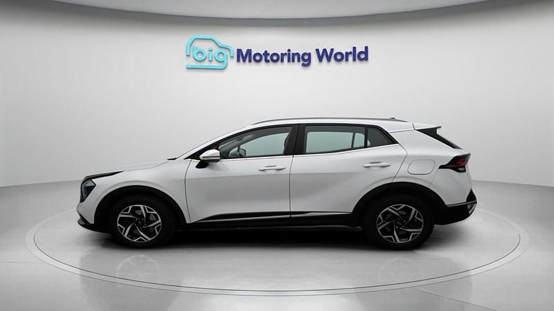 Used Kia Sportage 2023 White SUV
