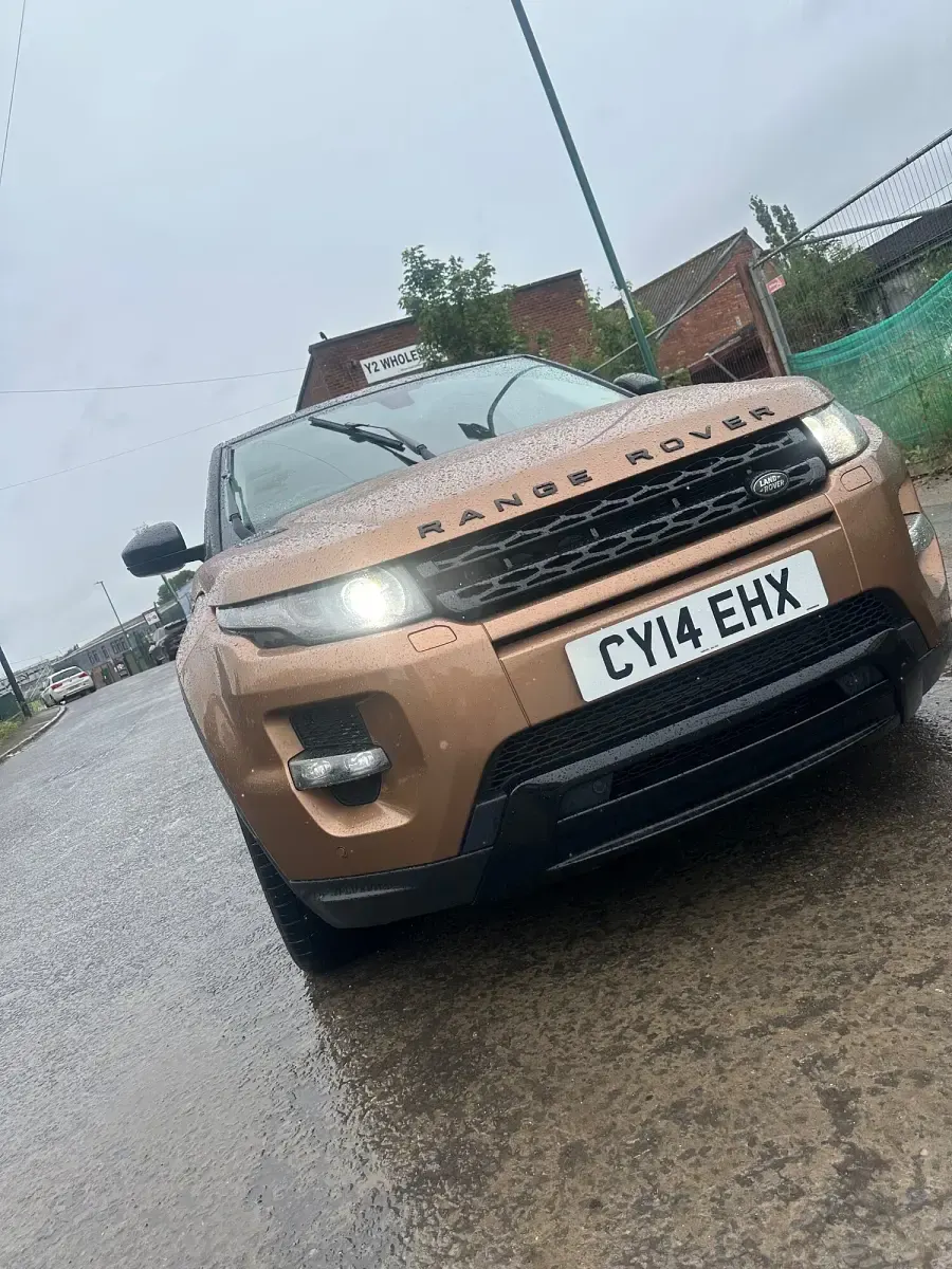 Used Land Rover Range Rover evoque Dynamic 2014 Bronze SUV