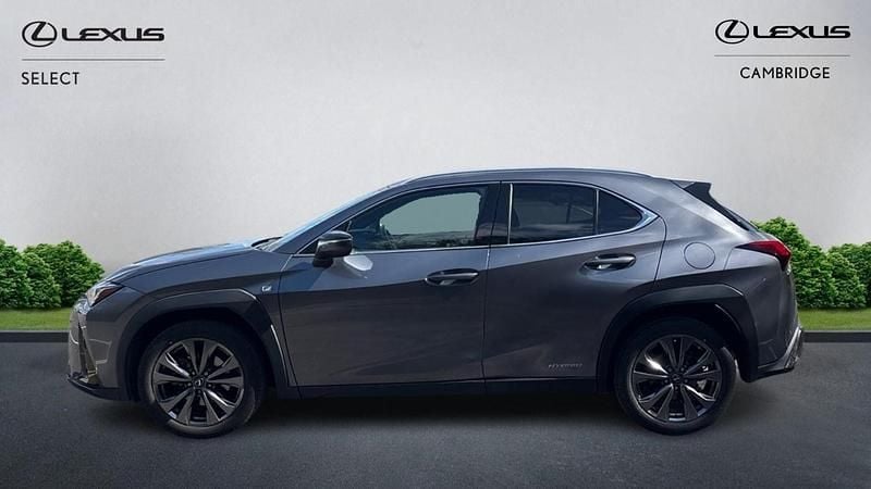 Used Lexus UX Sport Line 184 HP (135 kW) 2021 Grey SUV