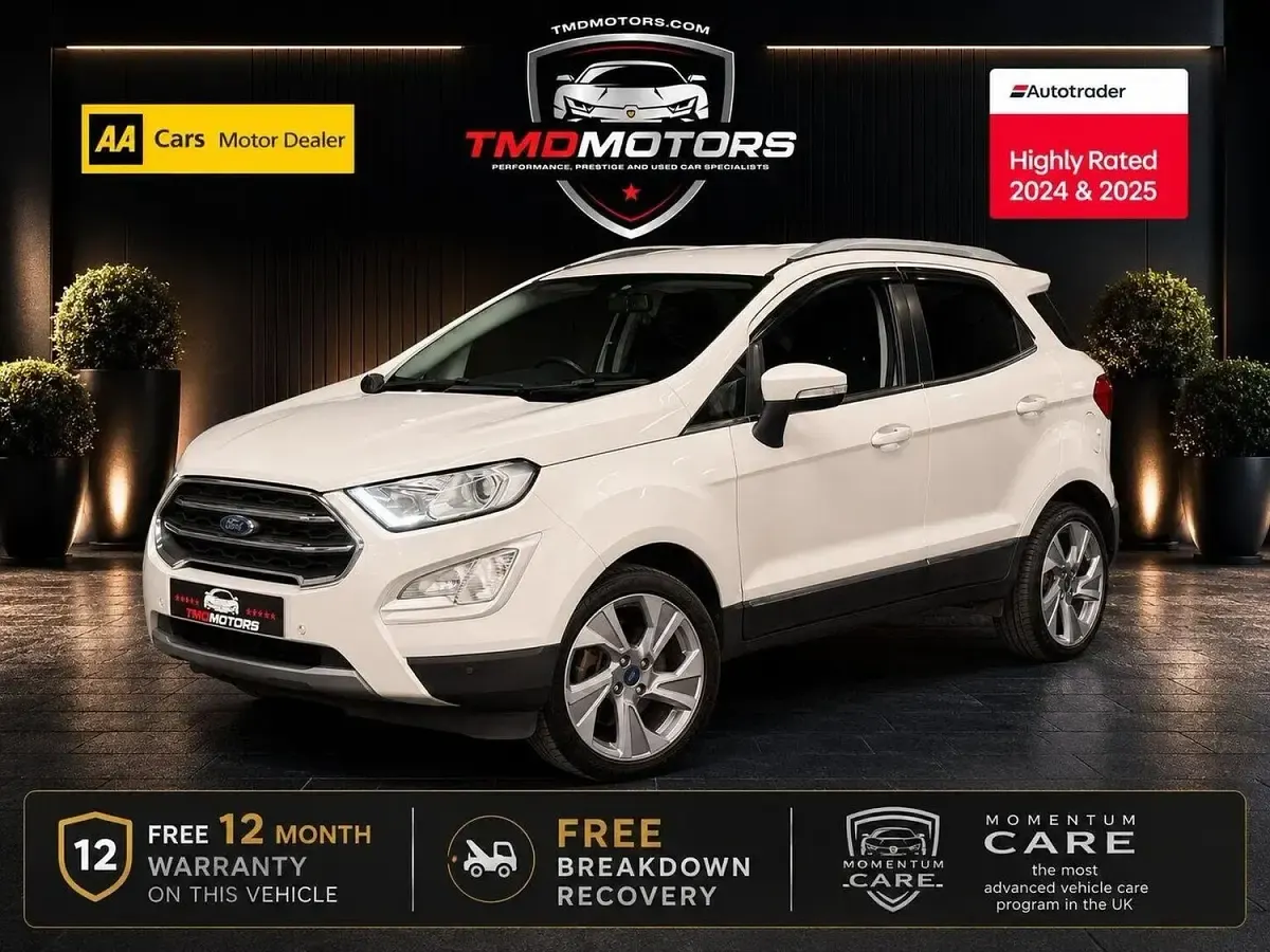 Used Ford Ecosport Titanium 125 HP (91 kW) 2018 White SUV