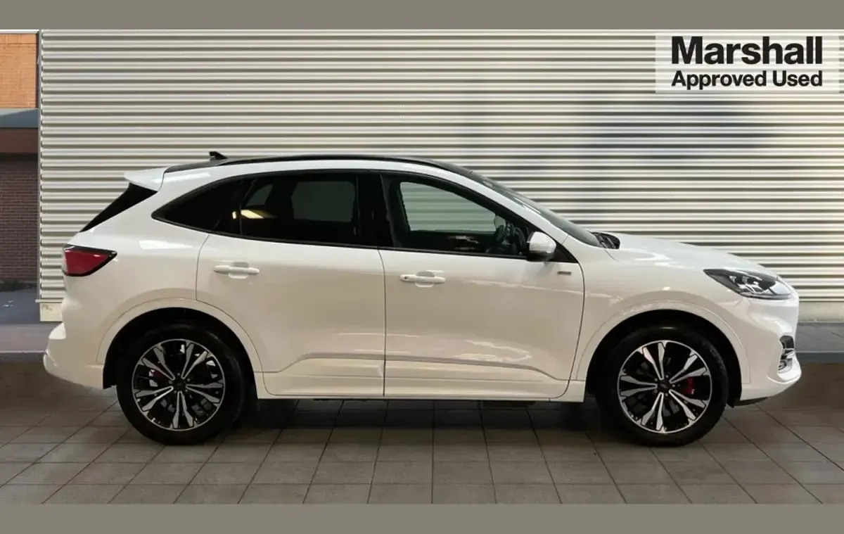 Used Ford Kuga ST-Line X 225 HP (165 kW) 2022 White SUV