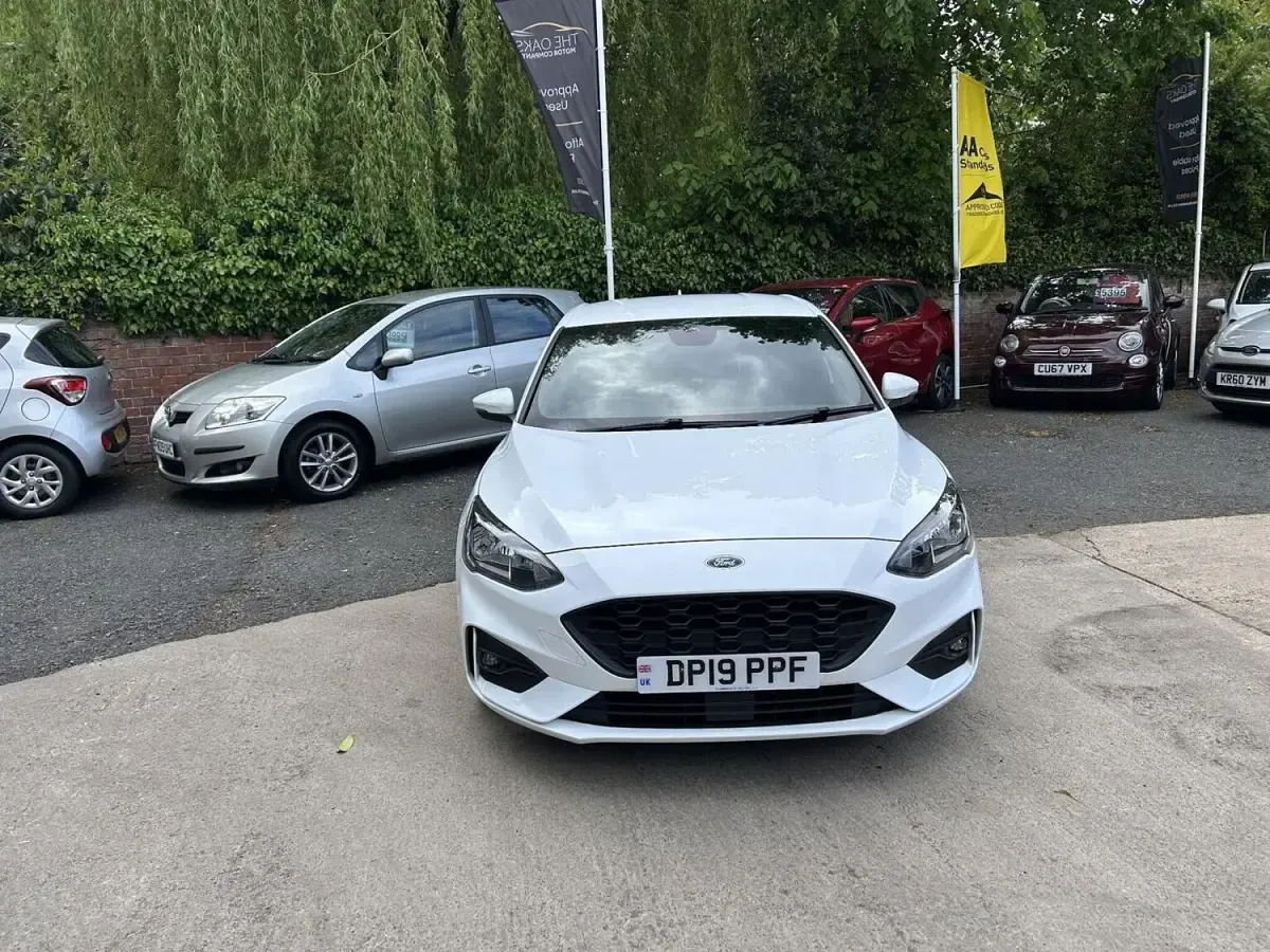Używany Ford Focus ST-Line 125 KM (91 kW) 2019 Biały Hatchback