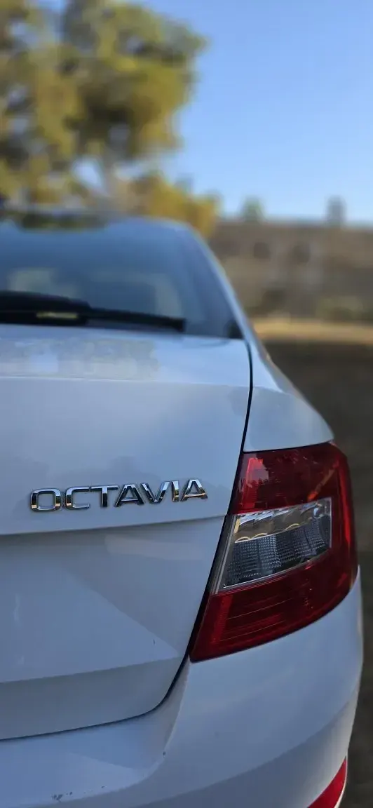 Used Skoda Octavia SE L 150 HP (110 kW) 2016 White Estate