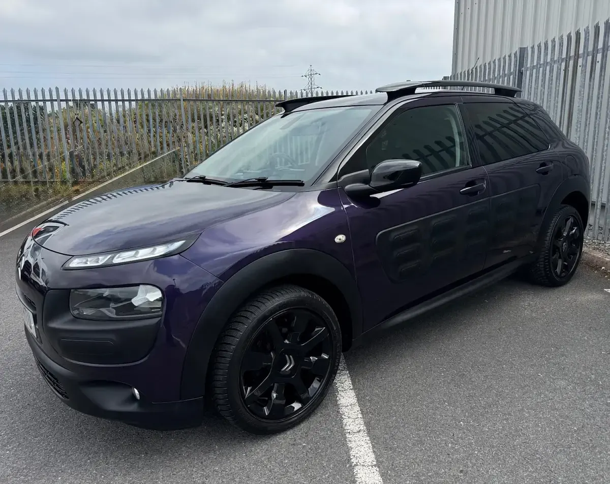 Used Citroën C4 Cactus Flair 2016 Mauve Hatchback