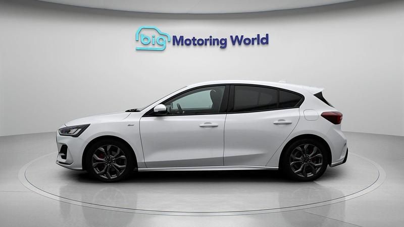 Used Ford Focus ST-Line 155 HP (114 kW) 2024 White Hatchback