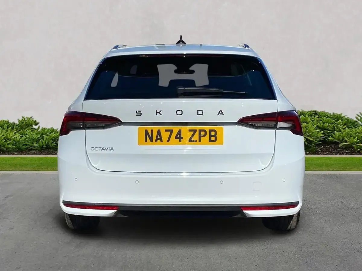 Used Skoda Octavia First Edition 150 HP (110 kW) 2024 White Estate